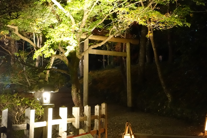 京都紅葉速報2018　その6　出雲神社_ライトアップ　No12