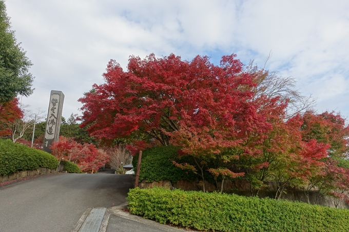 京都紅葉速報2018　その8　苗秀寺_紅葉　No2