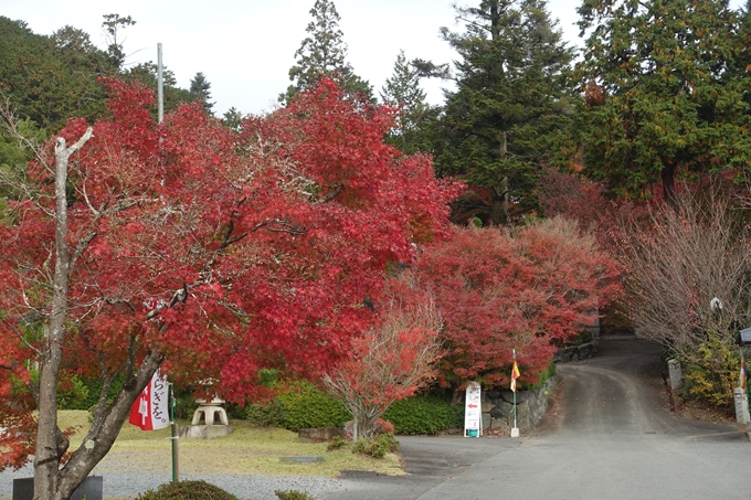 京都紅葉速報2018　その8　苗秀寺_紅葉　No3