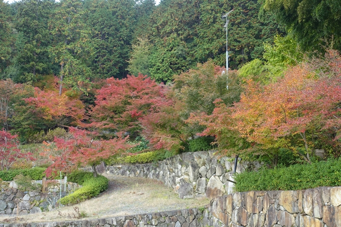 京都紅葉速報2018　その8　苗秀寺_紅葉　No6