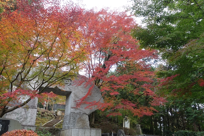 京都紅葉速報2018　その8　苗秀寺_紅葉　No10