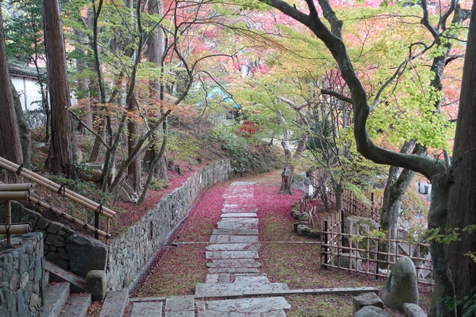 京都紅葉速報2018　その8　苗秀寺_紅葉　No15