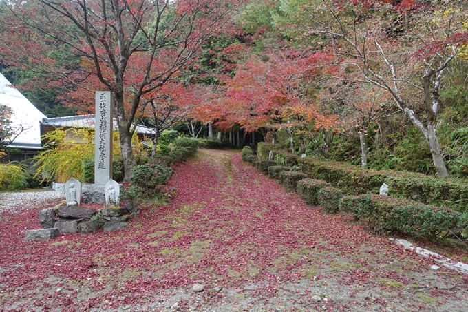 京都紅葉速報2018　その8　苗秀寺_紅葉　No17