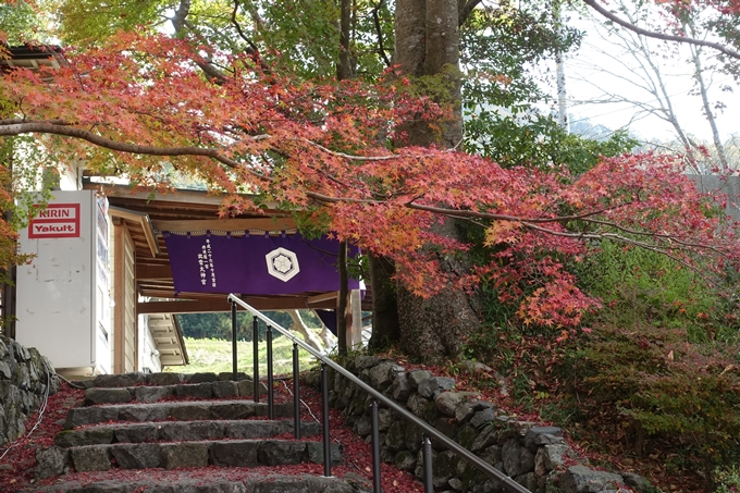 京都紅葉速報2018　その6　出雲神社_ライトアップ　No29