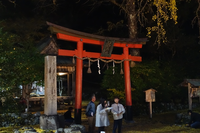 京都紅葉速報2018　その7　岩戸落葉神社_ライトアップ　No4