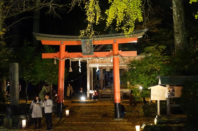 京都紅葉速報2018　その7　岩戸落葉神社_ライトアップ　No10