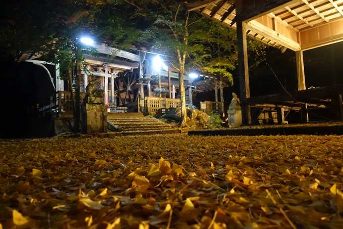 京都紅葉速報2018　その7　岩戸落葉神社_ライトアップ　No12