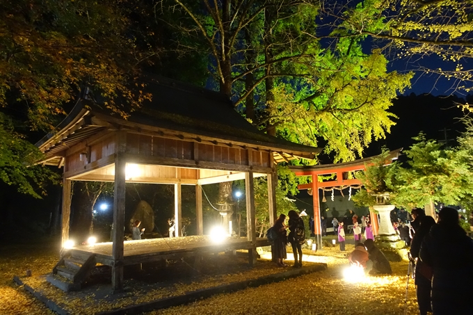 京都紅葉速報2018　その7　岩戸落葉神社_ライトアップ　No16