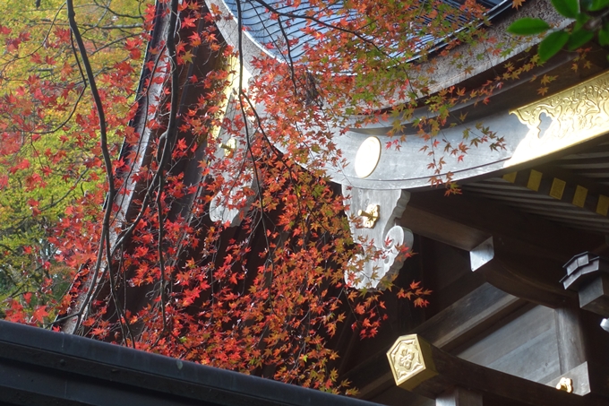 京都紅葉速報2018　その9　貴船神社　No14