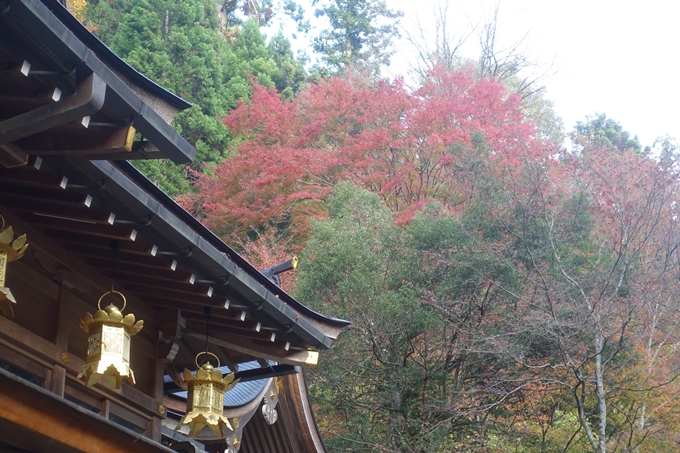 京都紅葉速報2018　その9　貴船神社　No13