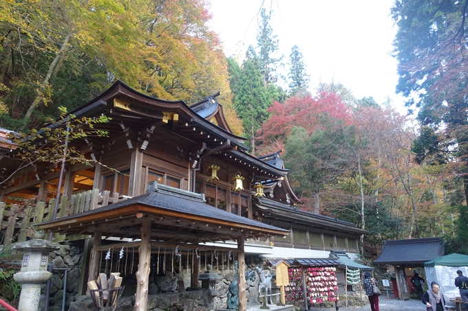 京都紅葉速報2018　その9　貴船神社　No16