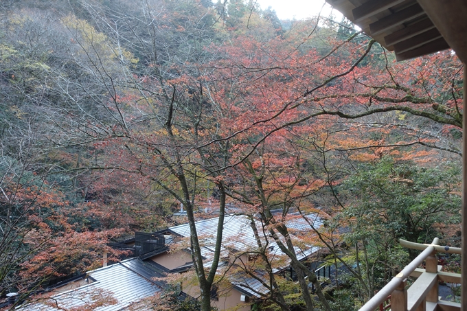 京都紅葉速報2018　その9　貴船神社　No17