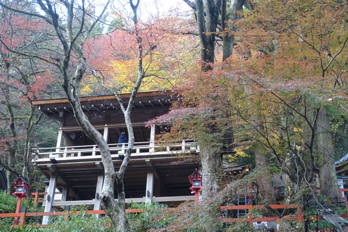 京都紅葉速報2018　その9　貴船神社　No19