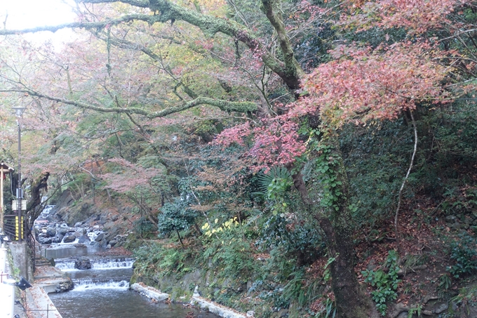 京都紅葉速報2018　その9　貴船神社　No2