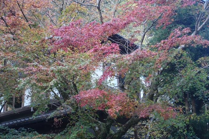 京都紅葉速報2018　その9　貴船神社　No6