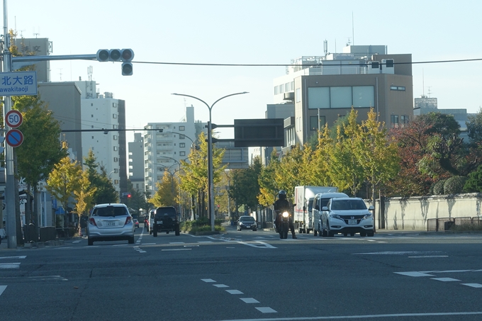 京都紅葉速報2018　その10　堀川街路樹のいちょう　No2