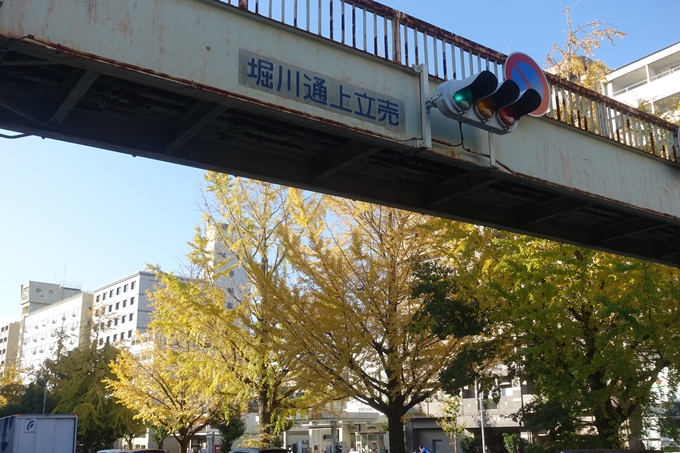 京都紅葉速報2018　その10　堀川街路樹のいちょう　No3