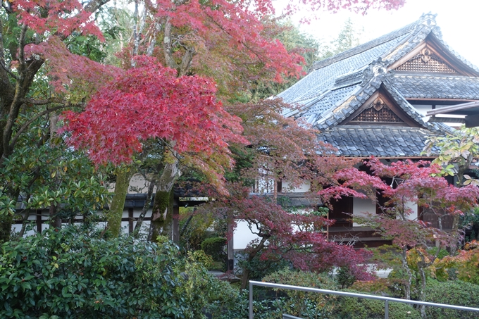 京都紅葉速報2018　その11　金戒光明寺・真如堂　No7