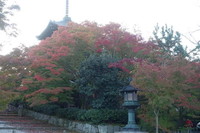 京都紅葉速報2018　その11　金戒光明寺・真如堂　No20