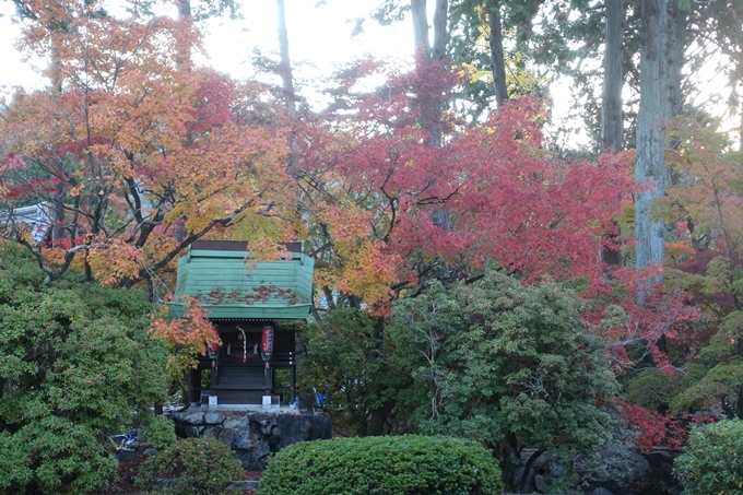 京都紅葉速報2018　その11　金戒光明寺・真如堂　No25