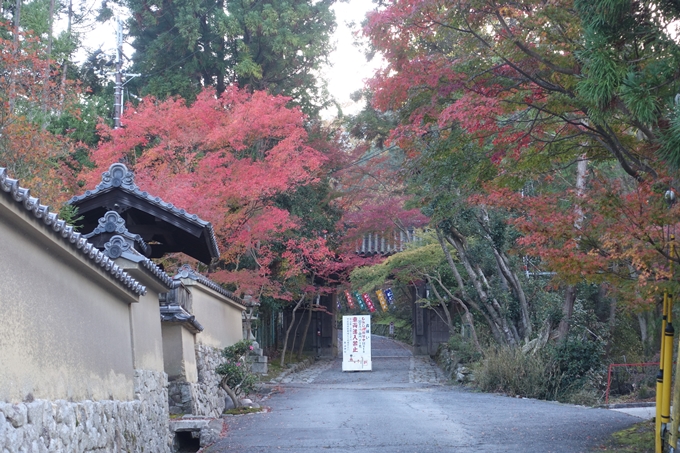 京都紅葉速報2018　その12　赤山禅院・曼殊院門跡・鷺森神社　No2