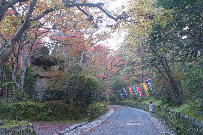 京都紅葉速報2018　その12　赤山禅院・曼殊院門跡・鷺森神社　No3