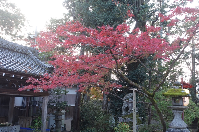 京都紅葉速報2018　その12　赤山禅院・曼殊院門跡・鷺森神社　No6