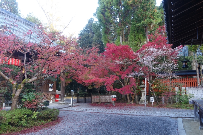 京都紅葉速報2018　その12　赤山禅院・曼殊院門跡・鷺森神社　No7