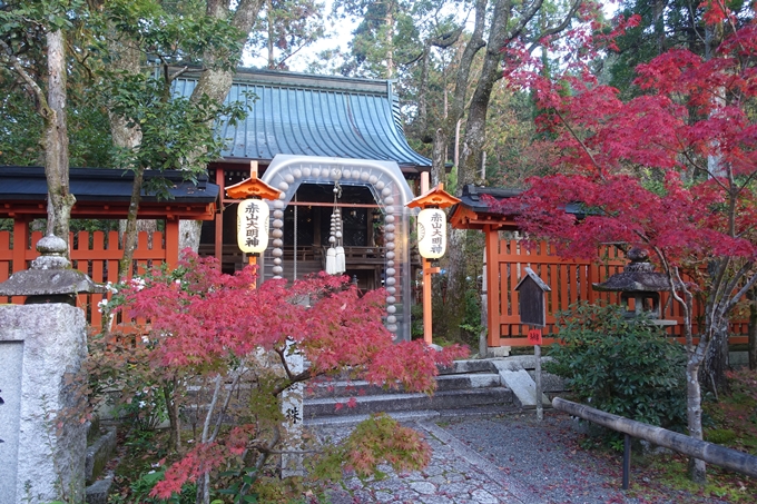 京都紅葉速報2018　その12　赤山禅院・曼殊院門跡・鷺森神社　No12