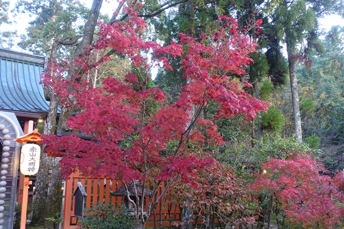 京都紅葉速報2018　その12　赤山禅院・曼殊院門跡・鷺森神社　No13