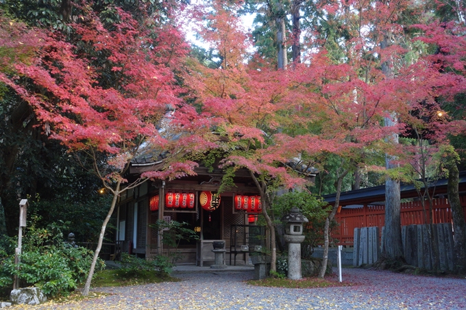 京都紅葉速報2018　その12　赤山禅院・曼殊院門跡・鷺森神社　No17