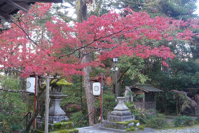 京都紅葉速報2018　その12　赤山禅院・曼殊院門跡・鷺森神社　No21