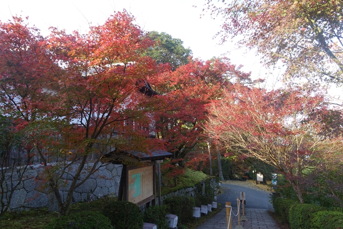 京都紅葉速報2018　その12　赤山禅院・曼殊院門跡・鷺森神社　No28