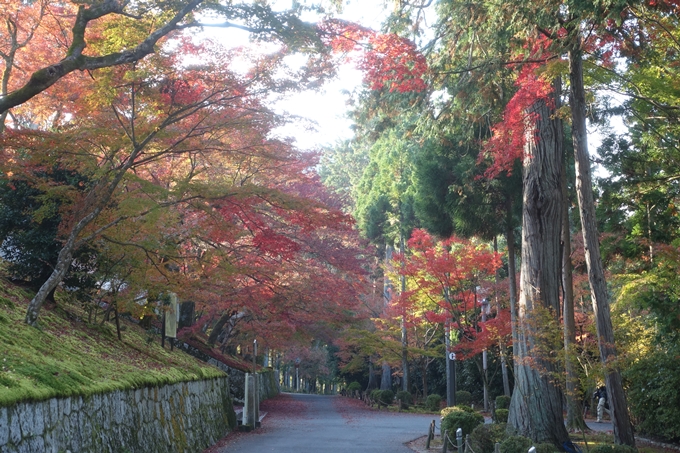 京都紅葉速報2018　その12　赤山禅院・曼殊院門跡・鷺森神社　No29