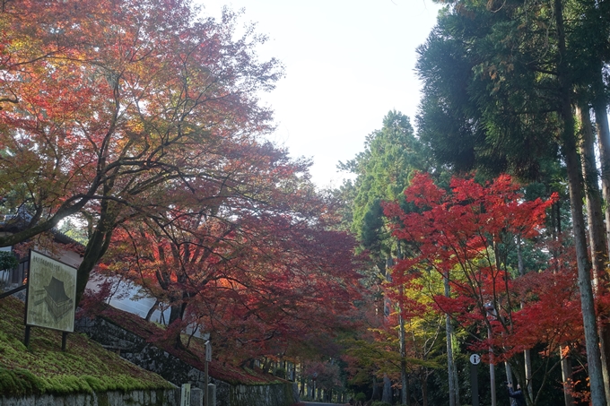 京都紅葉速報2018　その12　赤山禅院・曼殊院門跡・鷺森神社　No30