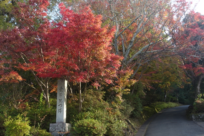 京都紅葉速報2018　その12　赤山禅院・曼殊院門跡・鷺森神社　No36