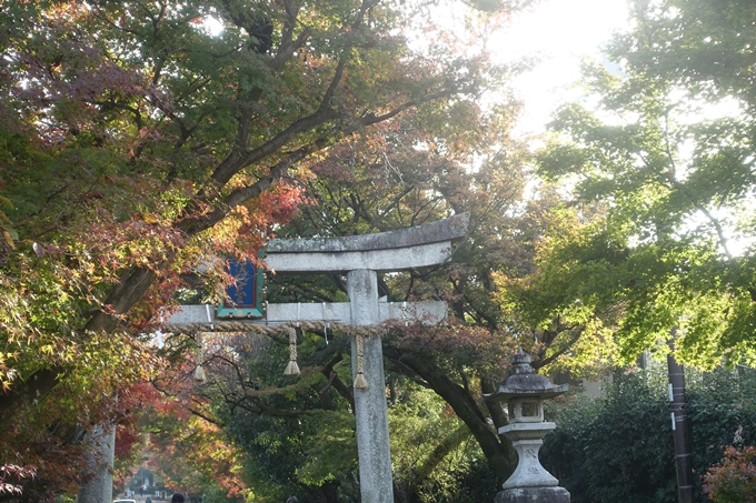 京都紅葉速報2018　その12　赤山禅院・曼殊院門跡・鷺森神社　No41