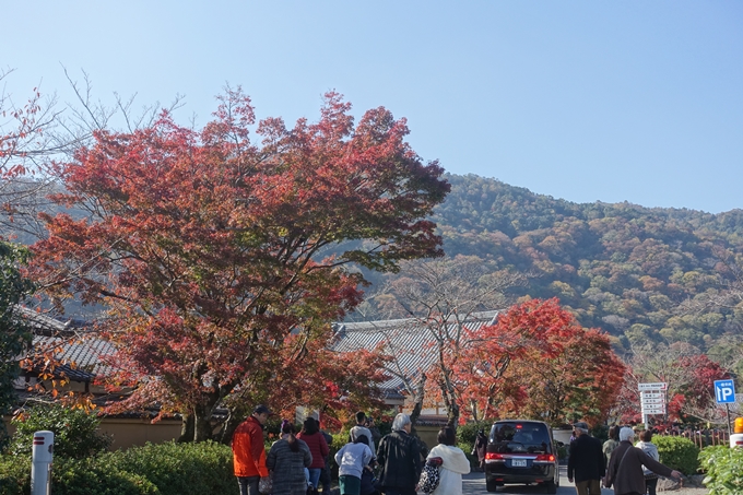 京都紅葉速報2018　その13　嵯峨嵐山　No6