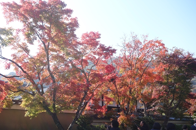 京都紅葉速報2018　その13　嵯峨嵐山　No10