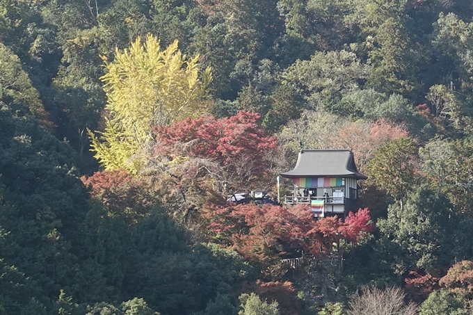 京都紅葉速報2018　その13　嵯峨嵐山　No35