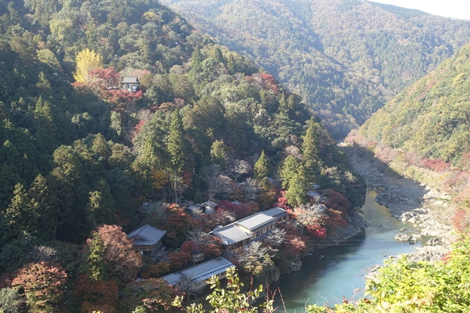 京都紅葉速報2018　その13　嵯峨嵐山　No36