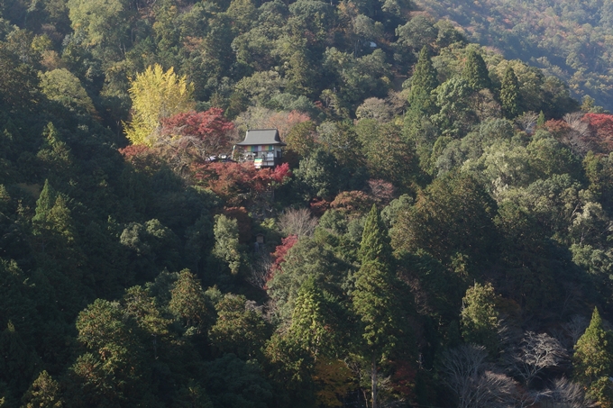 京都紅葉速報2018　その13　嵯峨嵐山　No47