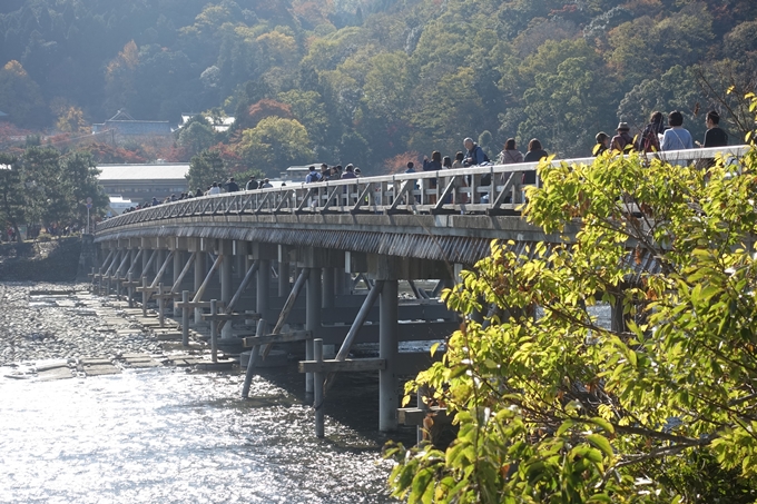 京都紅葉速報2018　その13　嵯峨嵐山　No43