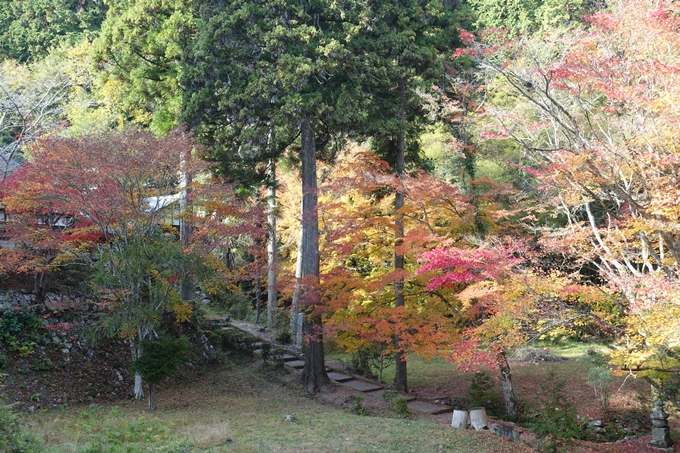 京都紅葉速報2018　その14　興禅寺・龍穏寺・摩気神社　No8