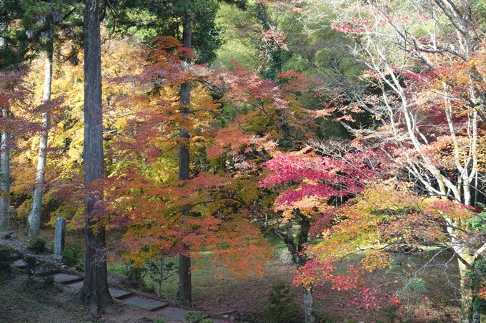 京都紅葉速報2018　その14　興禅寺・龍穏寺・摩気神社　No9