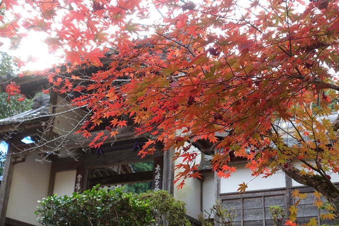 京都紅葉速報2018　その14　興禅寺・龍穏寺・摩気神社　No10