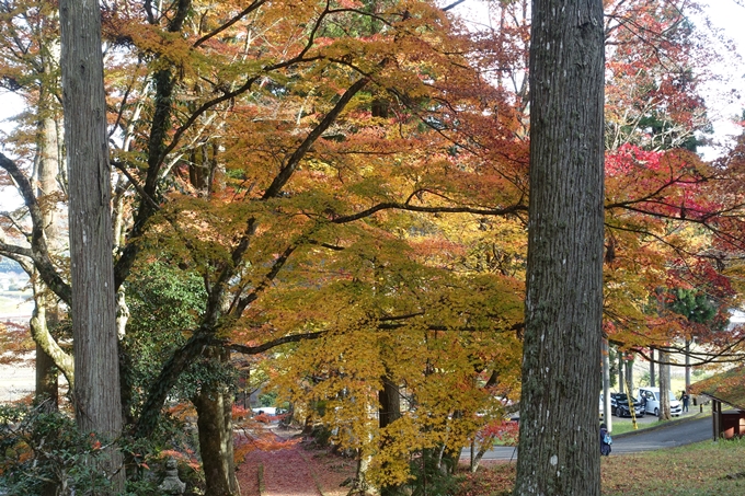 京都紅葉速報2018　その14　興禅寺・龍穏寺・摩気神社　No12