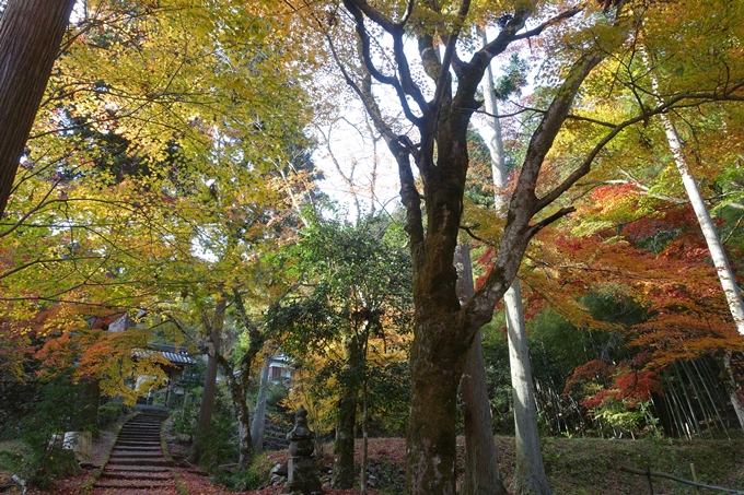 京都紅葉速報2018　その14　興禅寺・龍穏寺・摩気神社　No16