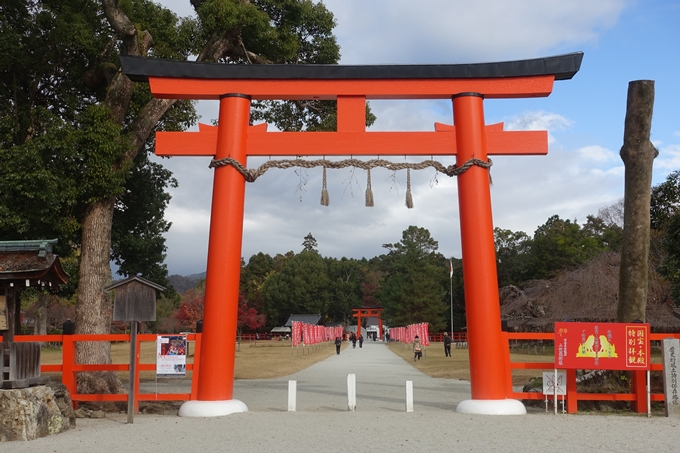 京都紅葉速報2018　その15 上賀茂神社　No2