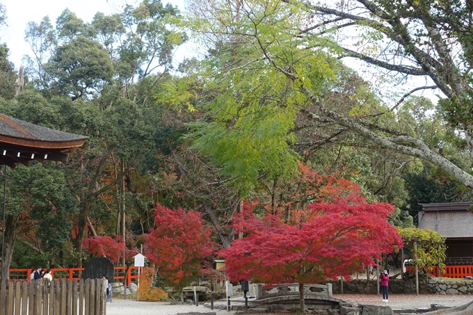 京都紅葉速報2018　その15 上賀茂神社　No4